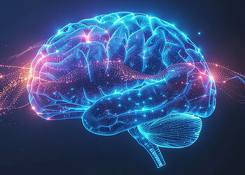 Don’t miss these 11 mind-blowing new neuroscience discoveries