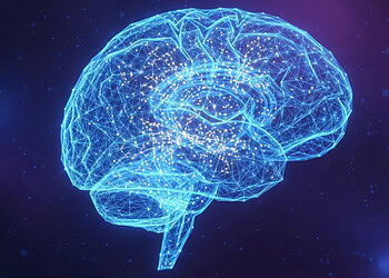 Scientists identify distinct neural dynamics linked to general intelligence