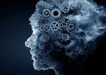 Liberals prefer brands that give employees more freedom, study finds