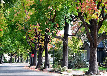 Study identifies creativity and resilience as positive aspects of ADHD diagnosis