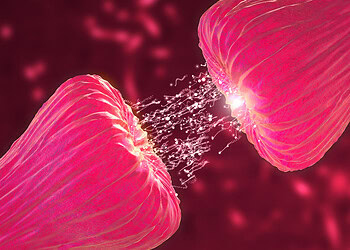 Analysis of 45 serial killers sheds new light on the dark psychology of sexually motivated murderers