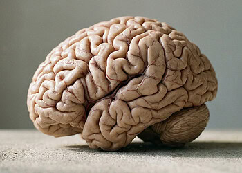 Scientists observe “striking” link between social AI chatbots and psychological distress