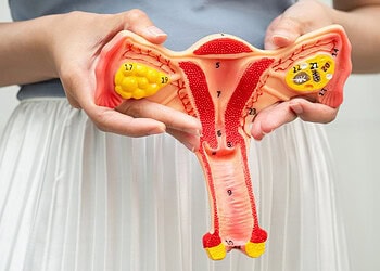 A woman’s choice of words for her genitals is tied to her sexual well-being, study finds