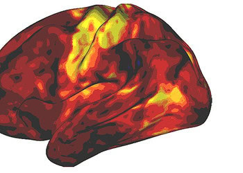 Common ADHD medications function differently than scientists previously thought