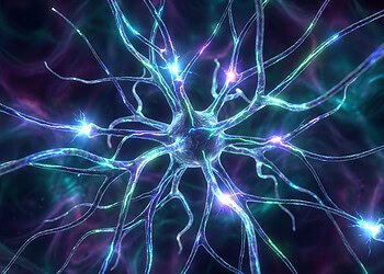 Childhood adversity linked to poorer cognitive function across different patterns of aging