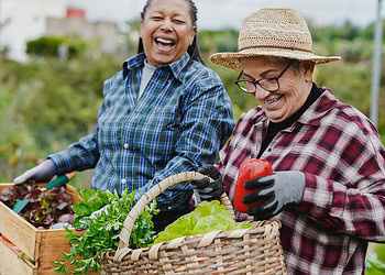 Single moderate dose of psilocybin linked to temporary reduction in OCD symptoms