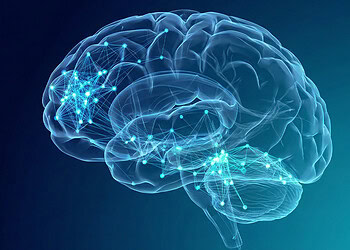 Alcohol shifts the brain into a fragmented and local state