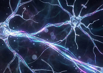 Surprising link found between hyperthyroidism and dark personality traits