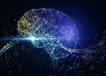 A new experiment reveals an unexpected shift in how pregnant women handle intimidation