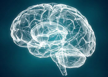 Sorting Hat research: What does your Hogwarts house say about your psychological makeup?