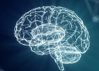 Sorting Hat research: What does your Hogwarts house say about your psychological makeup?