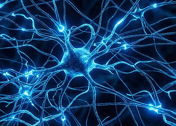 Blue light exposure may counteract anxiety caused by chronic vibration