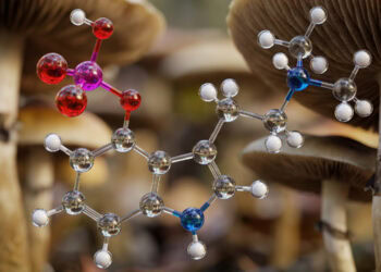 Cannabis use associated with better decision-making skills in people with bipolar disorder