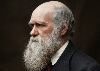 Global experiment supports Darwin’s century-old hunch about auditory aesthetics