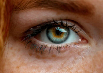 Actively open-minded thinking protects against political extremism better than liberal ideology