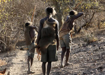 Self-interest, not spontaneous generosity, drives equality among Hadza hunter-gatherers