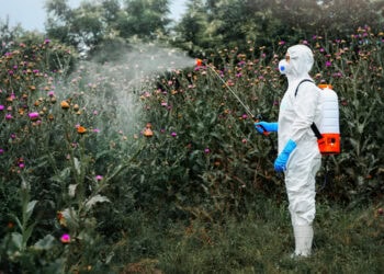 Glyphosate: A common weedkiller may induce anxiety by disrupting gut bacteria