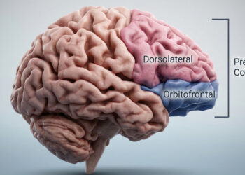 Neuroscientists have pinpointed a potential biological signature for psychopathy