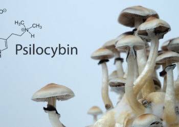 Your music playlist might reveal subtle clues about your intelligence