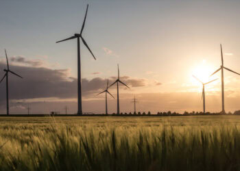 Disrupted sleep is the primary pathway linking problematic social media use to reduced wellbeing