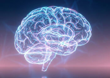 Puberty hormones shape the adolescent female brain before physical changes appear