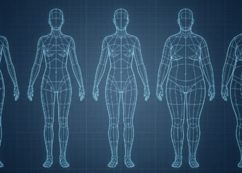 The human brain appears to rely heavily on the thighs to accurately judge female body size