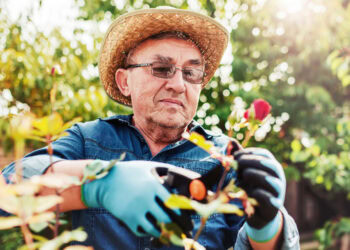 Engaging in gardening is associated with better well-being in older adulthood