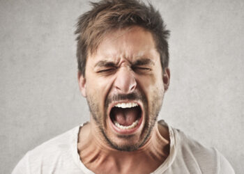 Political anger fuels support for violence mainly when voters feel ignored by the system