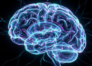 Scientists discover how coffee interacts with the gut microbiome to affect the human brain