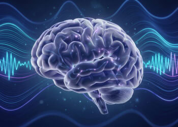 Study links autistic traits to how the brain processes social versus nonsocial rewards