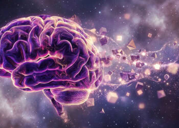 Scientists discover how coffee interacts with the gut microbiome to affect the human brain