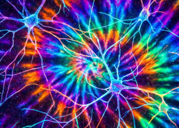 Listening to specific music frequencies alters stress markers in students facing exams