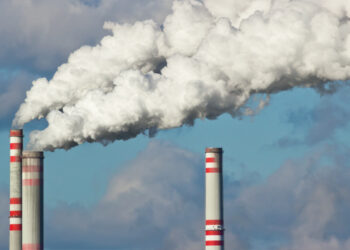 Wealth and air pollution emerge as top predictors of state autism rates