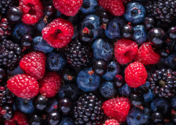 Plant-based compounds in berries and tea may help delay brain aging