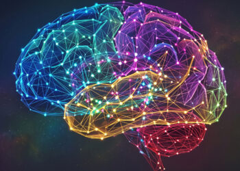 Infant brain structure predicts future intelligence scores