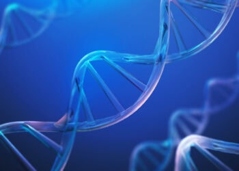 People with a genetic risk for depression struggle most in the years before a breakup