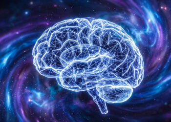 Your brain can start dreaming while you are still awake, and scientists just mapped how it happens