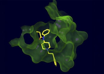 Scientists develop a groundbreaking vaccine that outsmarts illicit fentanyl analogs