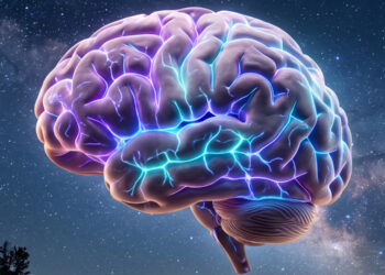 Narcissism and psychopathy linked to lower physical stress responses under pressure