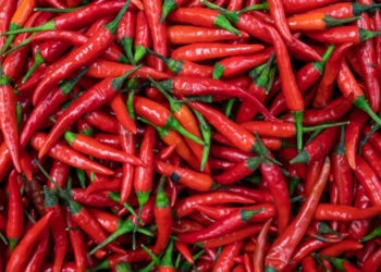 Spicy food can reduce extreme physical pain