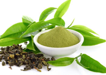 Green tea compound shows promise in protecting the brain from obesity-related damage
