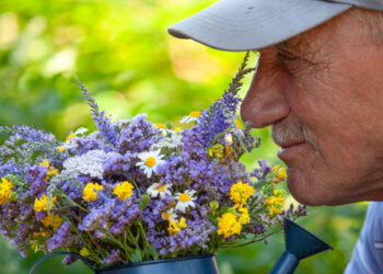 A surprising shift in sniffing and odor perception could be a key sign of Parkinson’s disease