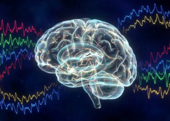 Scientists discover previously unknown brainwave chains that organize memory during REM sleep