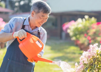 Watering plants lowers blood pressure and anxiety in older adults