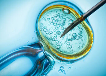 Hormone therapy before frozen embryo transfer is tied to larger babies but not to differences in early childhood IQ