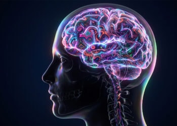 Brain entropy during a psychedelic trip tracks later gains in insight and well-being