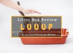 Luuup-Litter-Box-Review