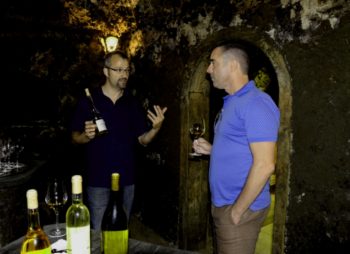 Being instructed by the head agronomist of Oremus