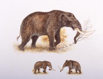 mastadons