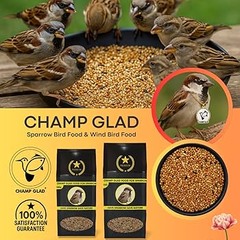 What Bird Seed Do Sparrows Like